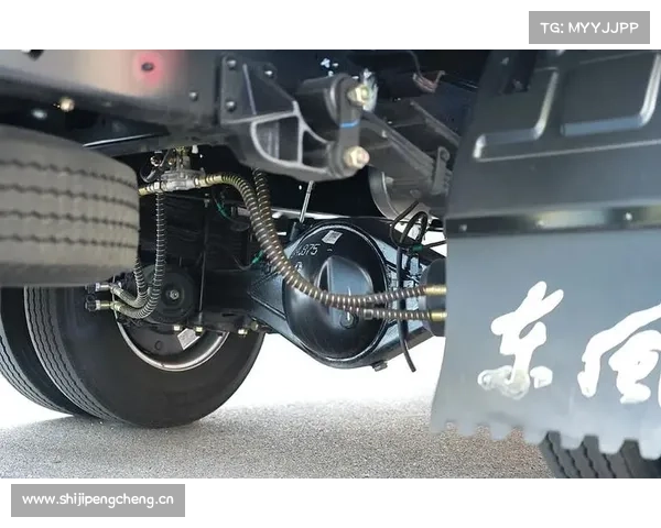 东风多利卡康陆威：大六米蓝牌极限车 助力高效物流新时代