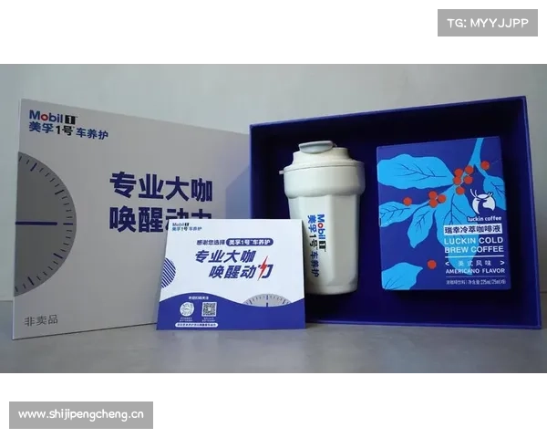 两大战略发布，美孚1号车养护5周年品牌焕新再提速